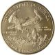 2017 1 Oz Gold American Eagle $50 Coin Bu Brilliant Uncirculated Gold photo 1