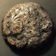 Ancient Ptolemy Greek Coin,  Alexander Iii,  Eagle,  Kings Of Egypt,  (15.  7 G,  25 Mm) 2 Coins: Ancient photo 1
