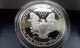 2001 - W 1 Oz Proof Silver American Eagle (w/box &) Coins photo 5
