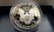 2001 - W 1 Oz Proof Silver American Eagle (w/box &) Coins photo 8