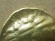 Fantastic Celtic Gold Stater Pedigree Aulerques Cénomans 80 - 50 Bc 7.  55 Grams Coins: Medieval photo 4