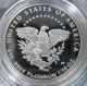 2005 - W 1/10 Ounce Platinum Eagle Bullion Proof Coin W/box & Platinum photo 1