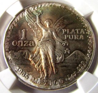 1985 Mexico 1 Onza Libertad Ngc Ms66 Toning photo