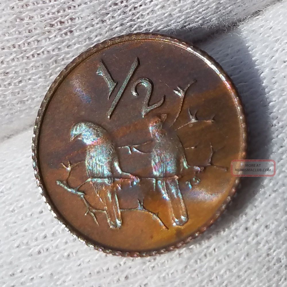 1970 1 2 Cent South Africa Proof 1 2c Km81 2 Sparrows On Branch Blue Toning 1970-1-2-cent-south-africa-proof-1-2c-km81-2-sparrows-on-branch-blue-toning