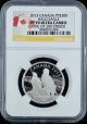 Ngc 2013 Canada Pt$300 Bald Eagle Pf 70 Ultra Cameo One Ounce Coin Very Rare Platinum photo 2