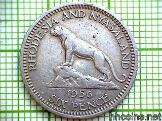 Rhodesia & Nyasaland Elizabeth Ii 1956 6 Pence,  Lion photo