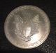 1996 American Silver Eagle 1 Oz One Dollar Coin Better Year Eagle Coins photo 1