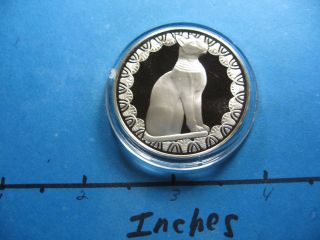 Egyptian Cat Egypt One Oldest Symbols Good Luck Fortune Silver Coin Sharp photo