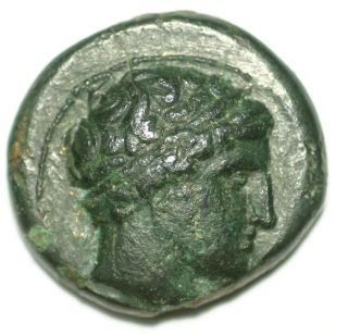Greek Bronze Coin Phillip Ii Macedonian Kingdom Apollo Prancing Horse Ae19 photo