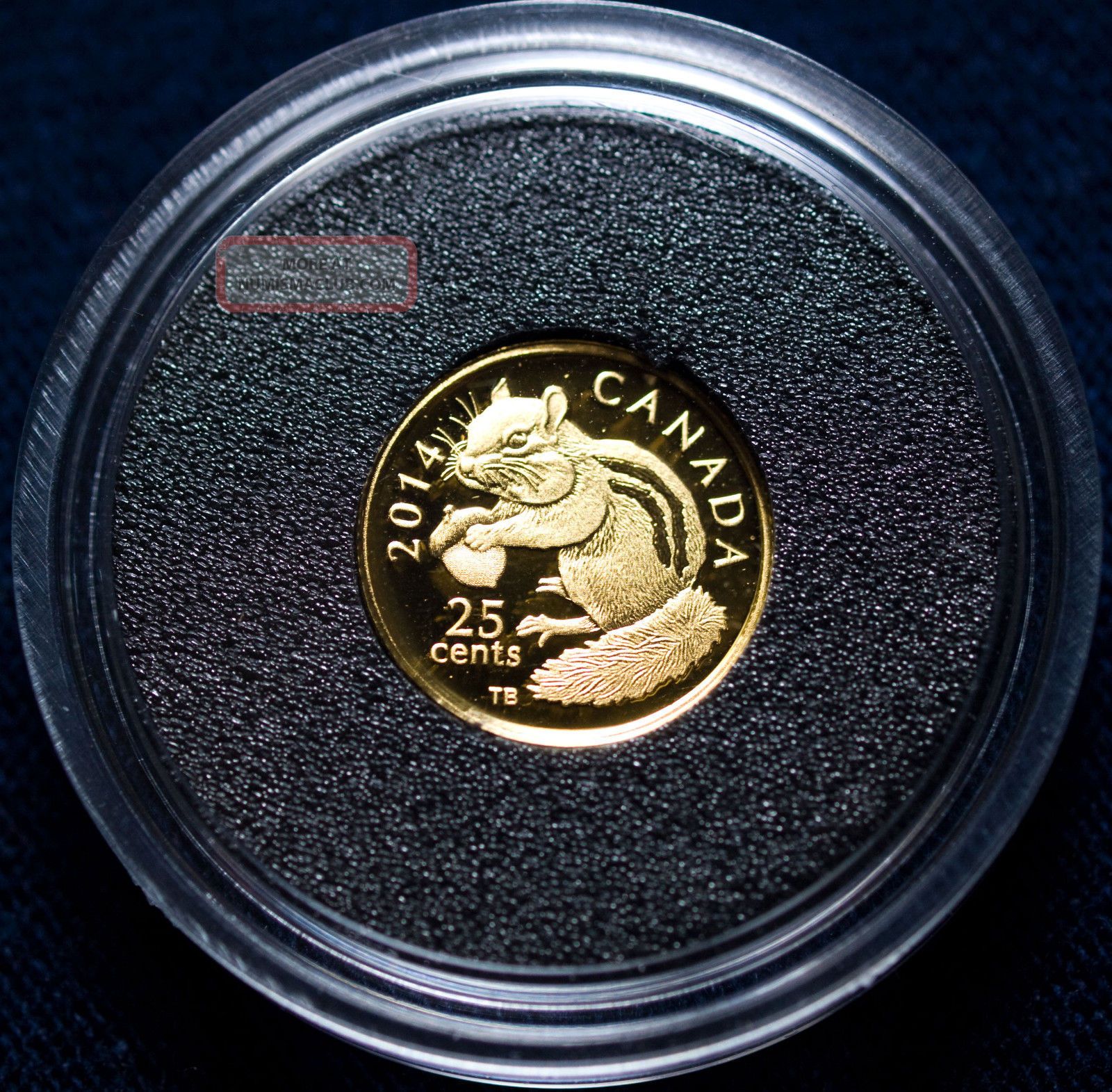 Royal Canadian 2014 25 Chipmunk Gold Proof (box, ) Coins: Canada photo