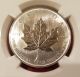 2005 Canada Palladium Maple Leaf Pd$50 Ms 65 Ngc.  Becoming Rarer Than Platinum Bullion photo 10