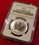 2005 Canada Palladium Maple Leaf Pd$50 Ms 65 Ngc.  Becoming Rarer Than Platinum Bullion photo 2
