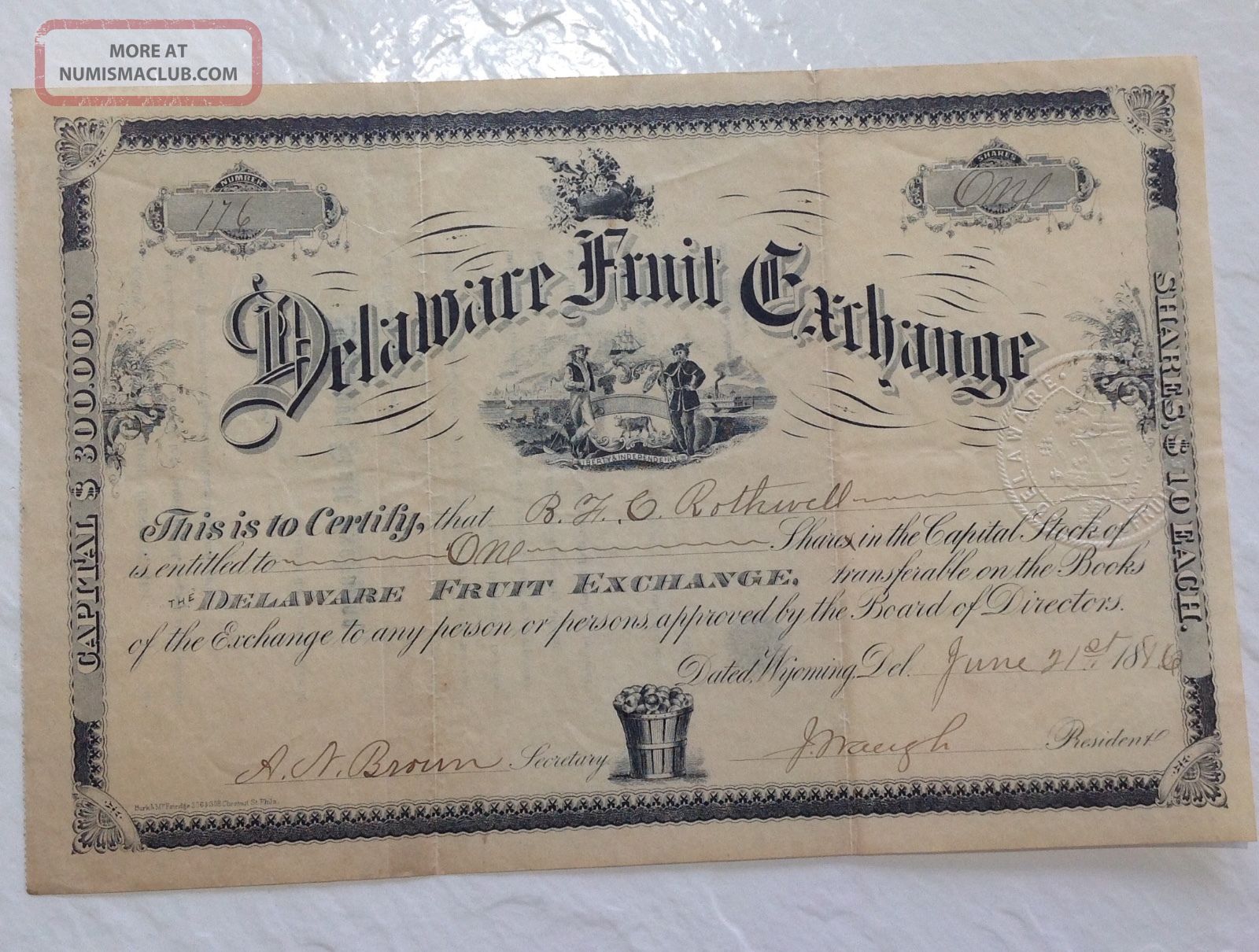 Delaware Fruit Exchange 1880s Stock Certificate Antique Rare Vintage Agriculture Stocks & Bonds, Scripophily photo
