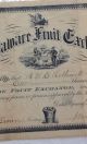 Delaware Fruit Exchange 1880s Stock Certificate Antique Rare Vintage Agriculture Stocks & Bonds, Scripophily photo 2