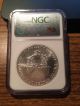 1993 Silver Eagle $1 Ms 69 Graded Ngc Coin Liberty United States 1 Oz Fine Silve Silver photo 1