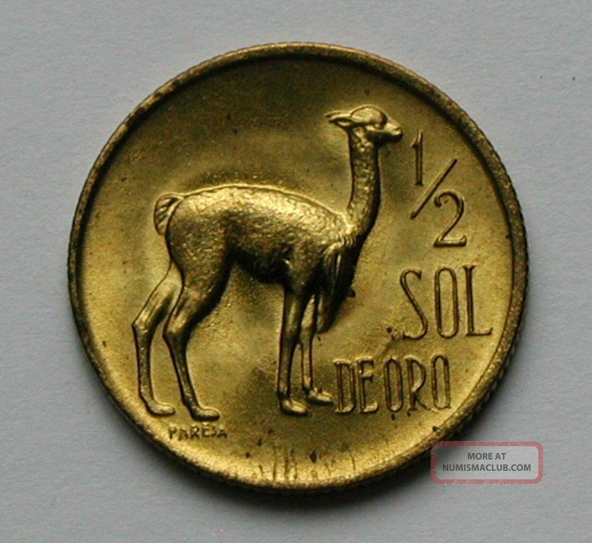 alpaca coin