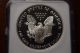 1993 - P Proof Silver Eagle American Dollar $1 Ngc Pf69 Ultra Cameo Silver photo 3