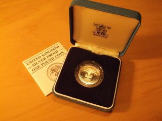 1985 United Kingdom - Silver Proof - One Pound Coin (. 925 Sterling Silver) photo