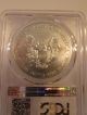 2013 - W Burnished Silver Eagle Pcgs Sp70.  Proof 