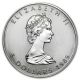 1989 Canadian Silver 1 Oz.  9999 Fine Silver Maple Leaf Still Uncirculated Coins: Canada photo 1