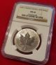 2007 Canada Palladium Maple Leaf Pd$50 Ms 66 Ngc,  No Longer Minted,  Very Rare Bullion photo 2