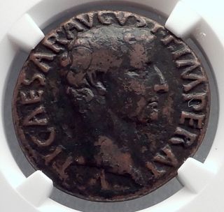 Tiberius Caesar Under Augustus 8ad Rome Authentic Ancient Roman Coin Ngc I60223 photo