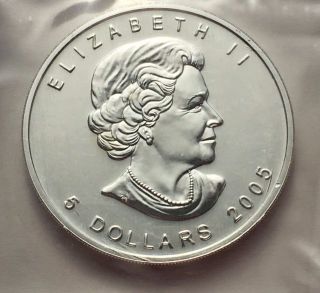 2005 Canada 1 Oz Silver Maple Leaf $5 Coin photo