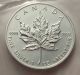 2005 Canada 1 Oz Silver Maple Leaf $5 Coin Coins: Canada photo 1