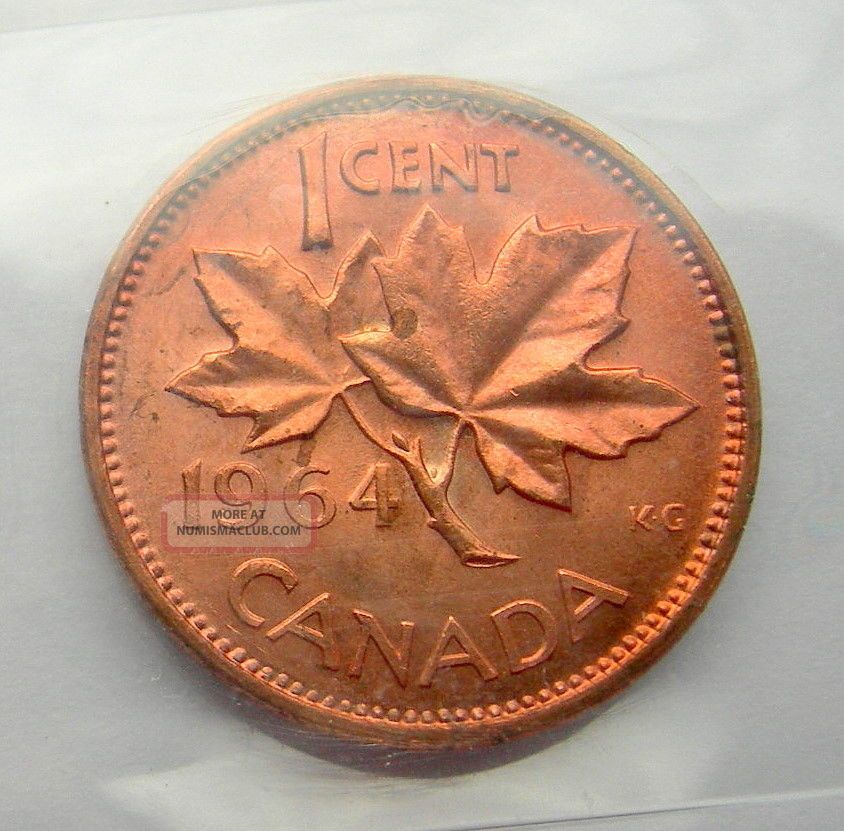 1964 Small Cent Iccs Certified Ms 66 Red Gem Stunning Canada Rare 