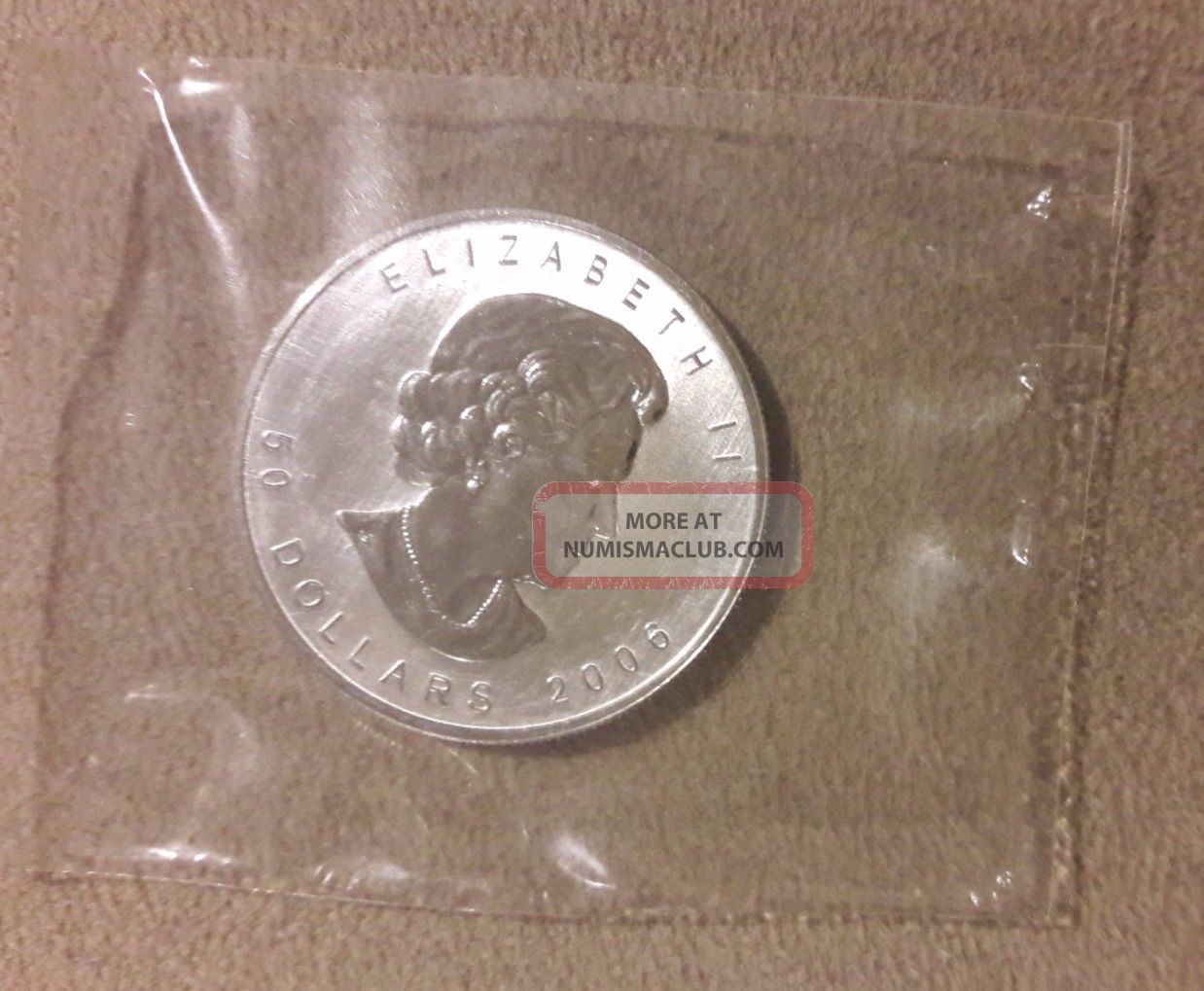 2006 Canada (canadian) Palladium Maple Leaf (in Plastic) $50 1 Oz Bullion photo