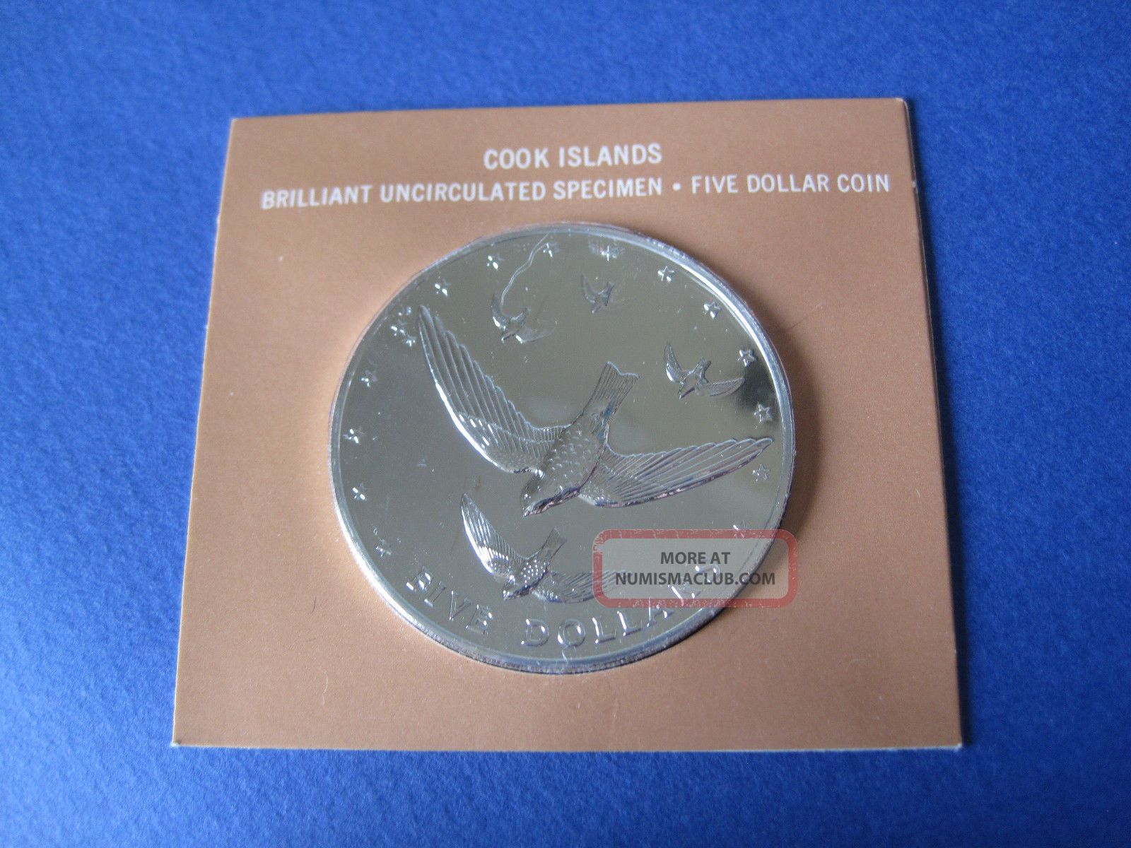 1977 Cook Islands $5 Silver Atiu Swiftlet - Bu Specimen In Australia & Oceania photo