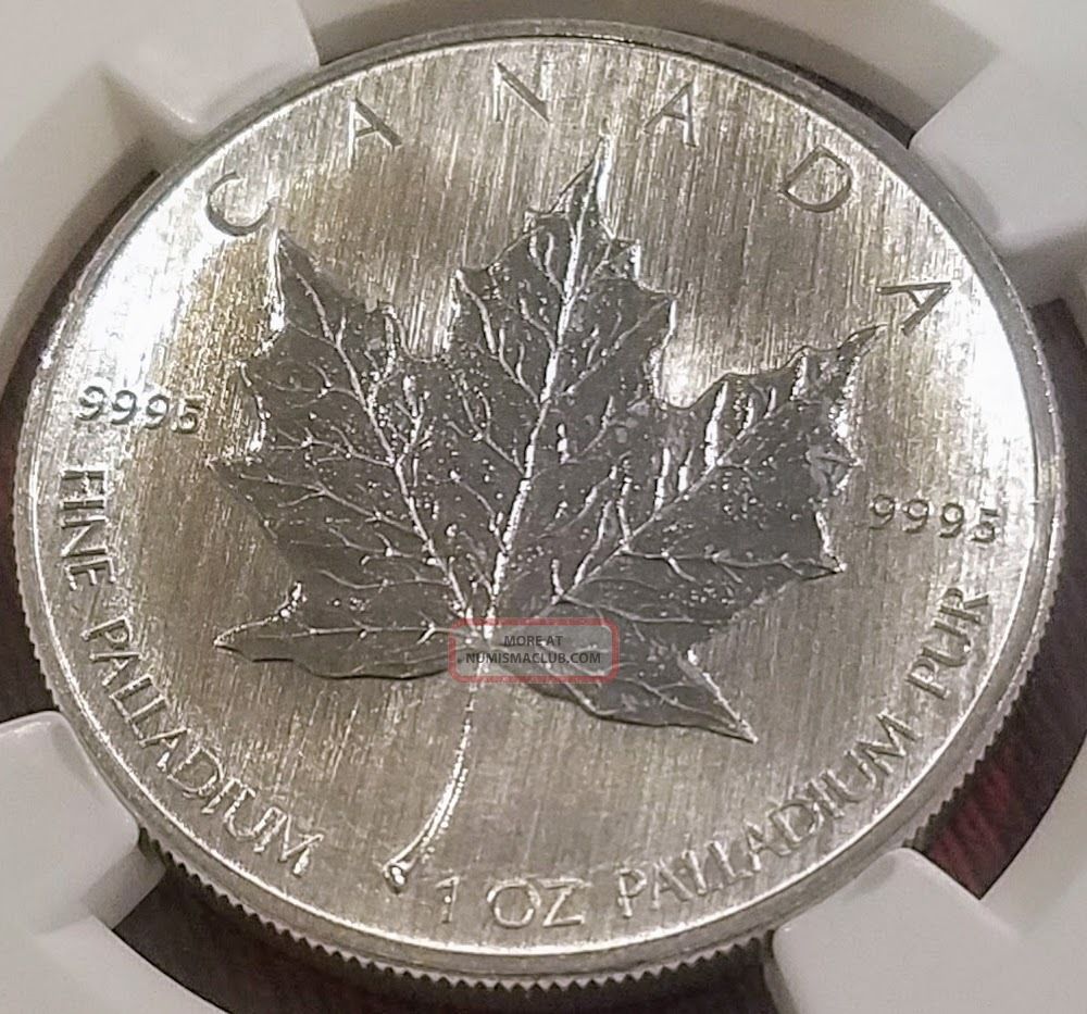 2007 Canada Palladium Maple Leaf Pd$50 Ms 64 Ngc.  Becoming Rarer Than Platinum Bullion photo
