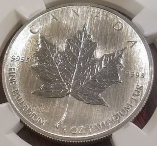 2007 Canada Palladium Maple Leaf Pd$50 Ms 64 Ngc.  Becoming Rarer Than Platinum photo