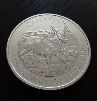 1 Oz.  9999 Silver 2013 Canada Antelope Wild Life Series Bullion Coin Fr/tube photo