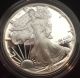 1988 1 Oz Silver American Eagle (brilliant Uncirculated) Coins photo 2