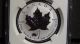 2017 $5 Canada 1oz Silver Maple Leaf Ngc Pf 70 Panda Privy Reverse Proof Rare Coins: Canada photo 1
