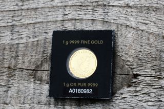2016 Canada Gold Maplegram Coin::single Coin:::999gold By Rcm photo