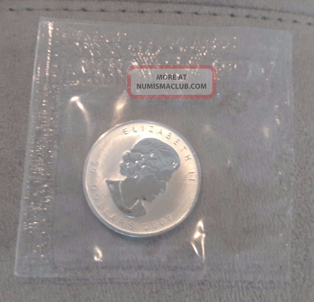 2007 Canada (canadian) Palladium Maple Leaf (in Plastic) $50 1 Oz (ounce) Bullion photo