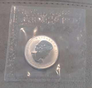 2007 Canada (canadian) Palladium Maple Leaf (in Plastic) $50 1 Oz (ounce) photo