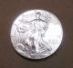 Silver Dollar Coin 1 Troy Oz American Eagle Walking Liberty.  999 Fine 2014 Silver photo 1