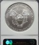 2008 W Ngc Ms 69 Burnished American Silver Eagle 1 Ounce Silver Eagle Coins photo 1