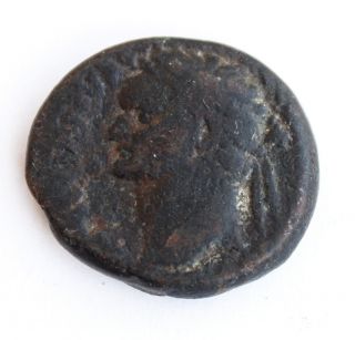 Roman Procurators Coin Domitian 83 Ad Caesarea Maritima,  Minerva,  Holy Land photo