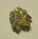1.  7 Grams Of Crystalline Gold Nugget From Round Mountain Gold Mine Nevada Usa Gold photo 1