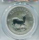 South Africa 2017 First Ever 50th Anniversary Silver Krugerrand Pcgs Graded Sp70 Africa photo 3
