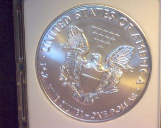 2017 Silver Eagle Dollar photo