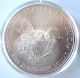 2013 American Silver Eagle.  999 1 Oz $1 Silver Bullion Bu Coin H40 Holder Silver photo 1