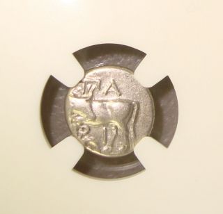 4th Cent Bc Mysia,  Parium Ancient Greek Gorgon Silver Hemidrachm Ngc Xf Edge Cut photo