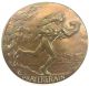 Society Of Medalists 3rd Issue Hopi / Prayer For Rain Bronze Medal 1931 Exonumia photo 1