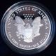 Us 2002 - W Silver American Eagle Proof Dollar Coin W/ Box,  Case & 1 Oz Silver photo 1