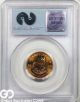 2000 Wtc Ground Zero Recovery,  1/4 Oz.  South African Gold Krugerrand Pcgs Gem Gold photo 3